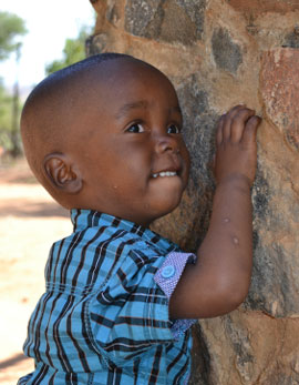 The House of Luhuvilo, House of Luhuvilo, Luhuvilo